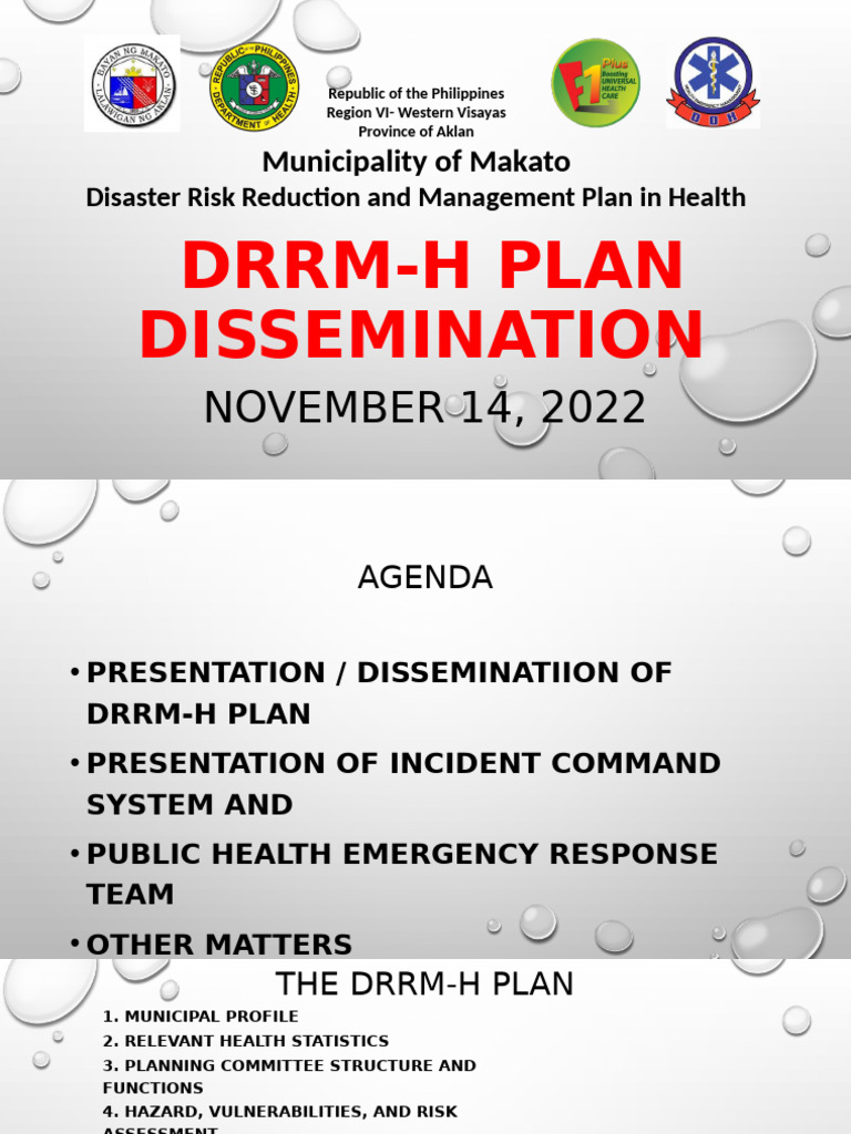 DRRM-H Plan Dissemination | PDF