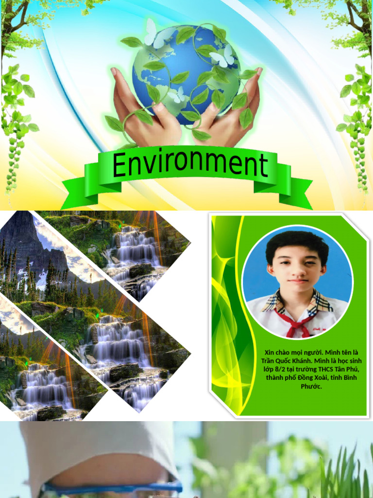 Environment | PDF