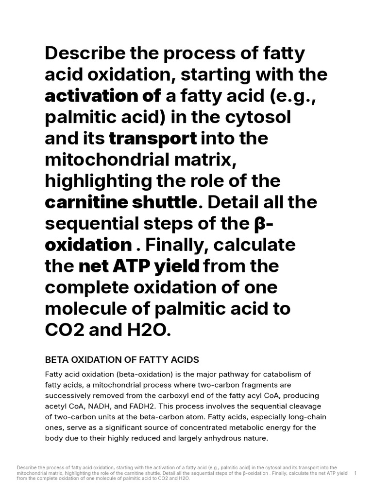 Activation of Transport: Beta Oxidation of Fatty Acids | PDF ...