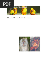 1960’s “US ARMY” JUNGLE FATIGUE PANTS Mufaru | PDF | Organisms | Biology