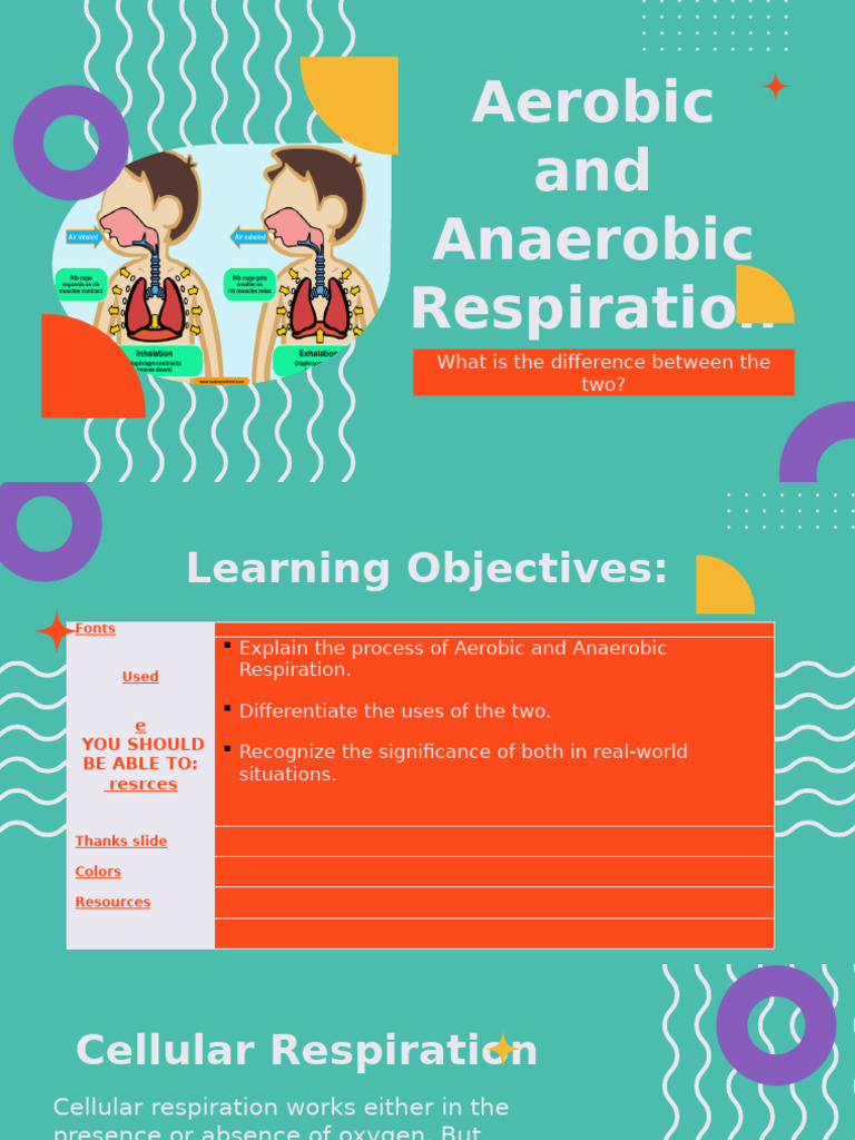 Aerobic vs. Anaerobic Respiration Explained | PDF | Cellular ...