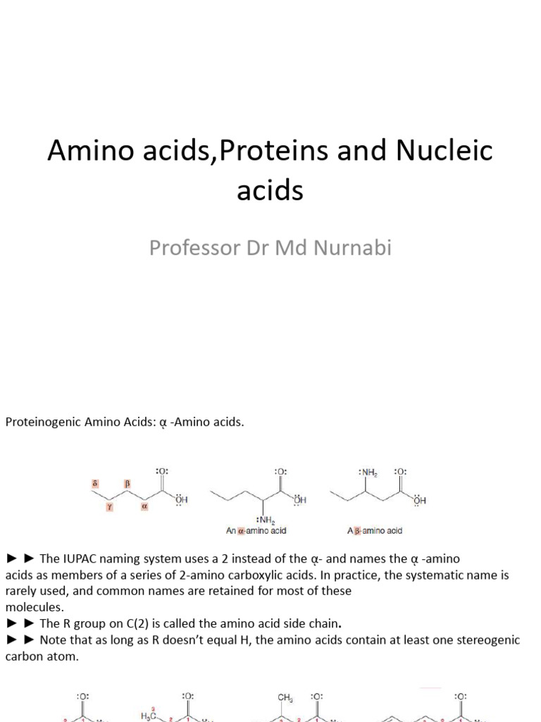 Understanding Amino Acids and Proteins | PDF | Amino Acid | Acid ...