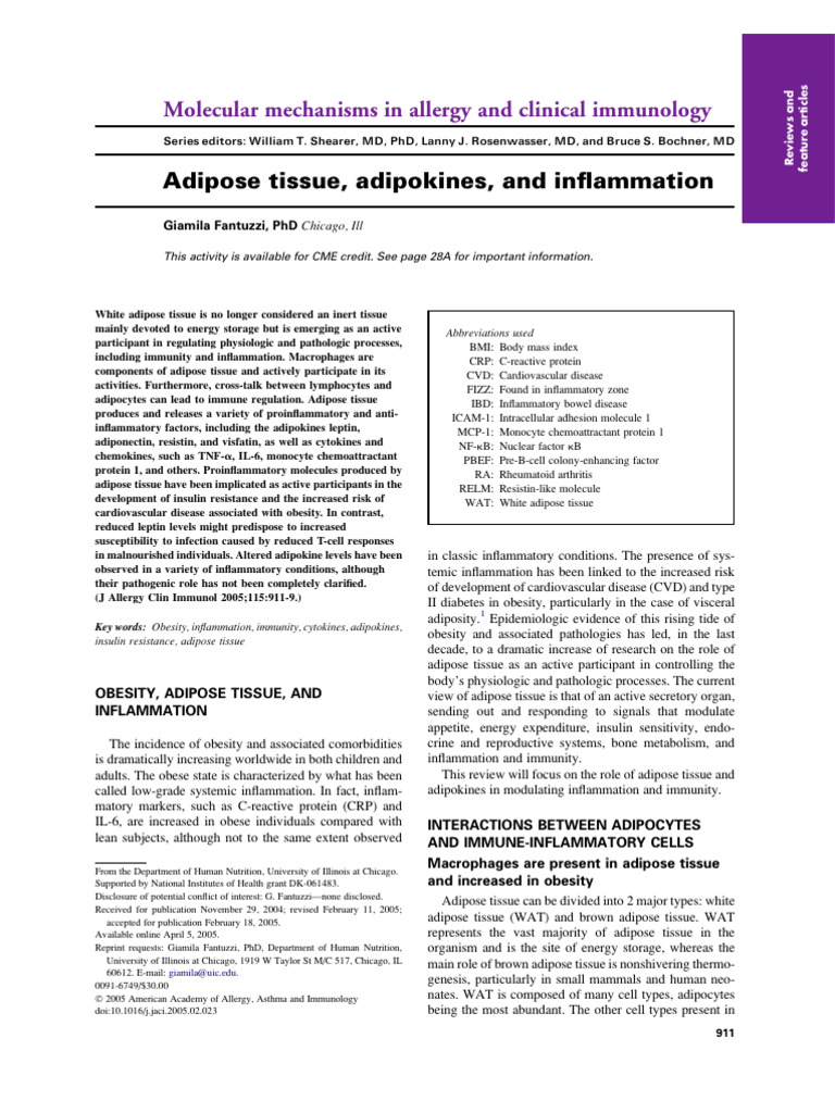 Adipose Tissue's Role in Inflammation | PDF | Adipose Tissue | Leptin