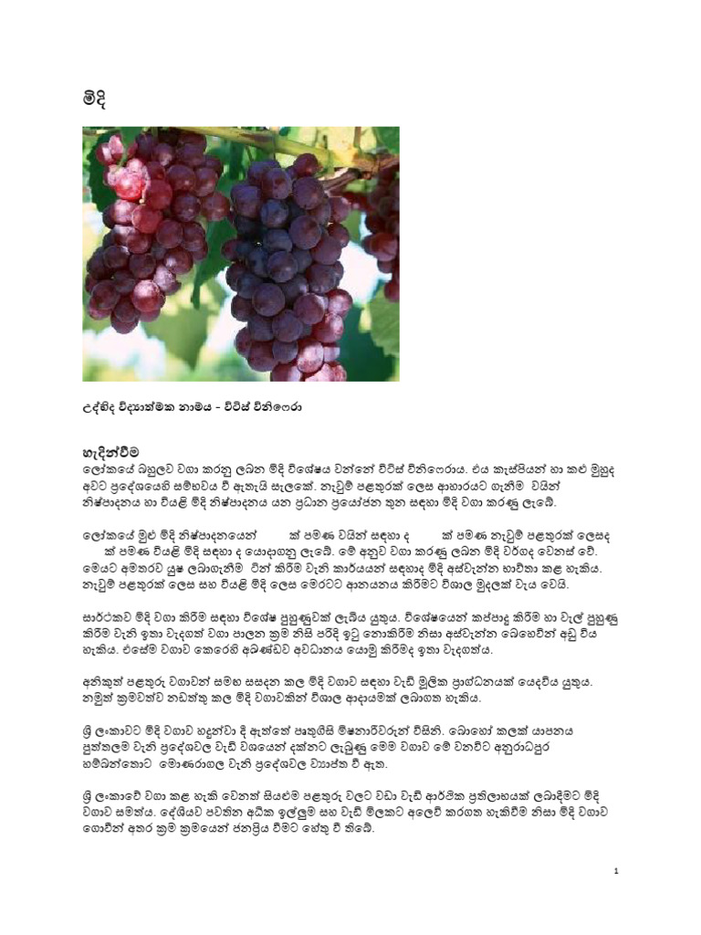 (Grapes) | PDF