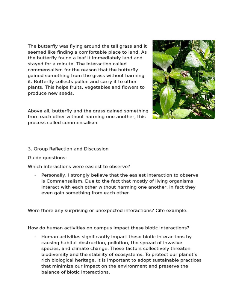 Commensalism in Nature: Butterfly Interactions | PDF