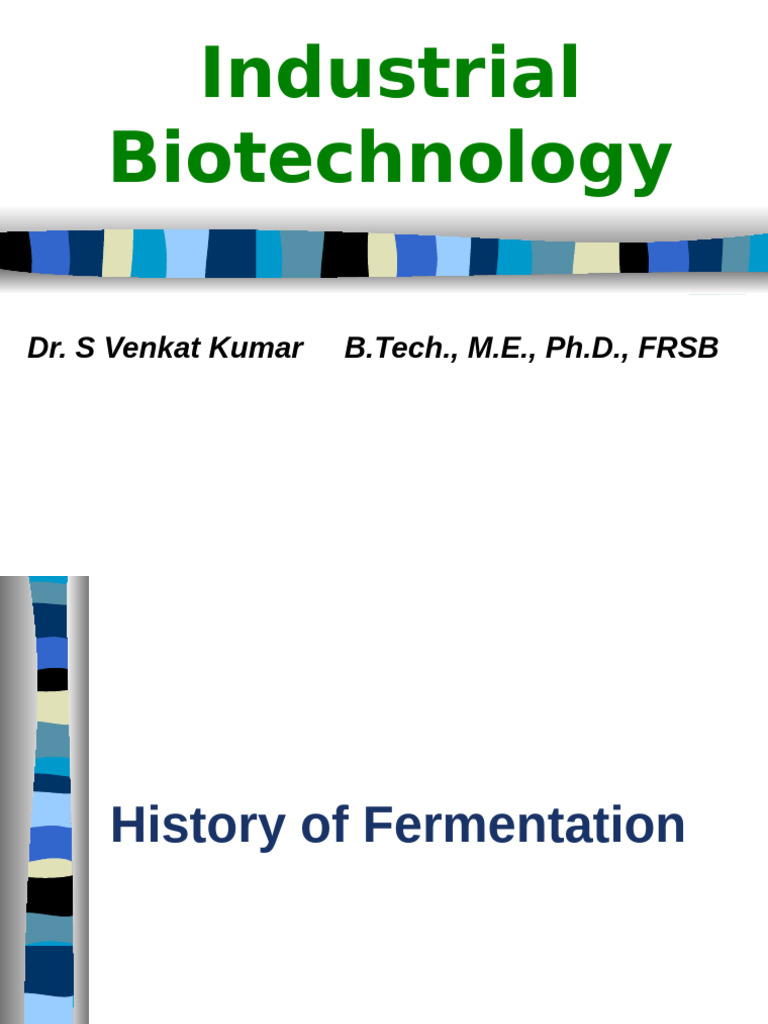 History of Fermentation Processes | PDF | Fermentation | Breads