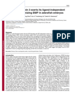 (IGFBP3 BMP2) IGF Binding Protein 3 Exerts Its Ligand-Independent Action by Antagonizing BMP in Zebrafish Embryos