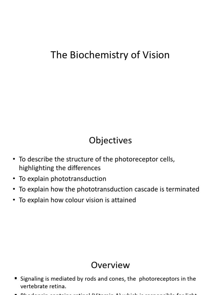 Biochemistry of Vision Explained | PDF | Retina | Senses