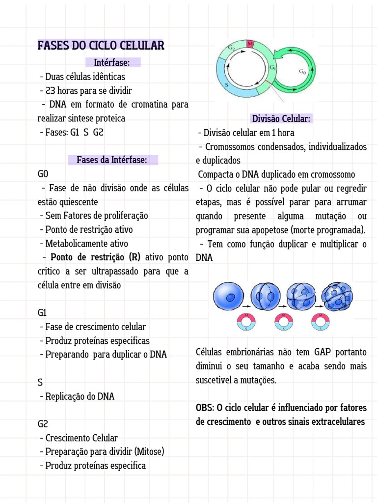 Fases e Controle do Ciclo Celular | PDF | Ciclo de célula | Oncogene