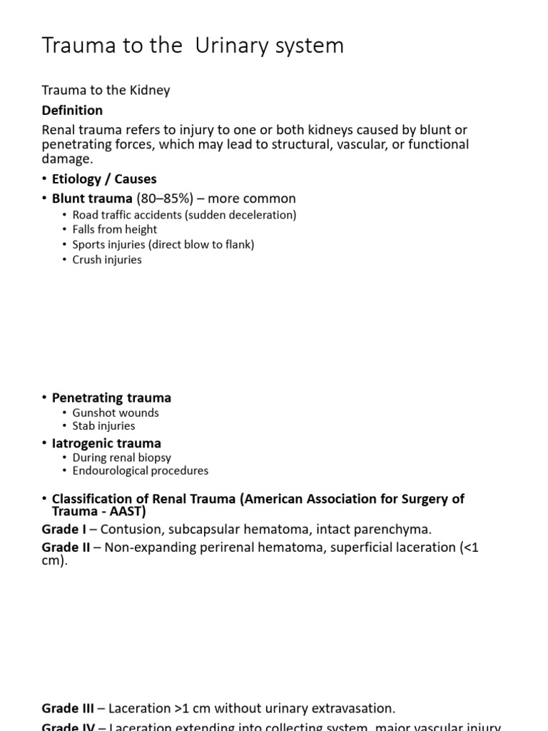 Understanding Urinary System Trauma | PDF | Tuberculosis | Urinary ...