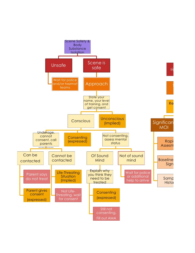Emergency Scene Assessment Protocol | PDF | Self-Improvement