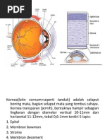 Download KERATITIS by Ika Ayu Dewi Satiti SN91692787 doc pdf