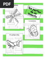 Download Insects Label Sp by Libby Allen Dualkinderteacherblogspotcom SN91693952 doc pdf