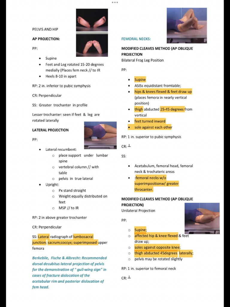 Document | PDF