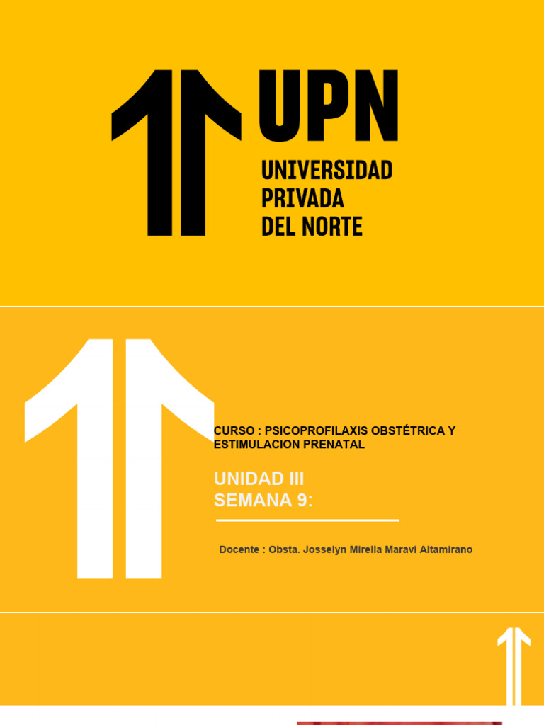 Clase 9 - Bases de La Epn | PDF | Feto | Cerebro