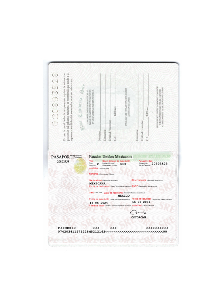 Pasaporte Mexicano: Datos y Detalles | PDF