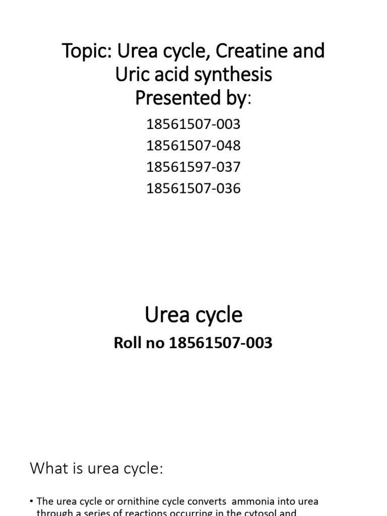 Urea Cycle, Creatine and Uric Acid Synthesis | PDF | Urea | Nucleotides