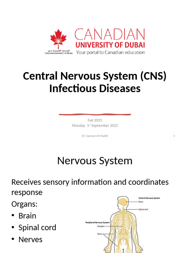 2nd Lecture Central Nervous System Infectious Diseases | PDF ...