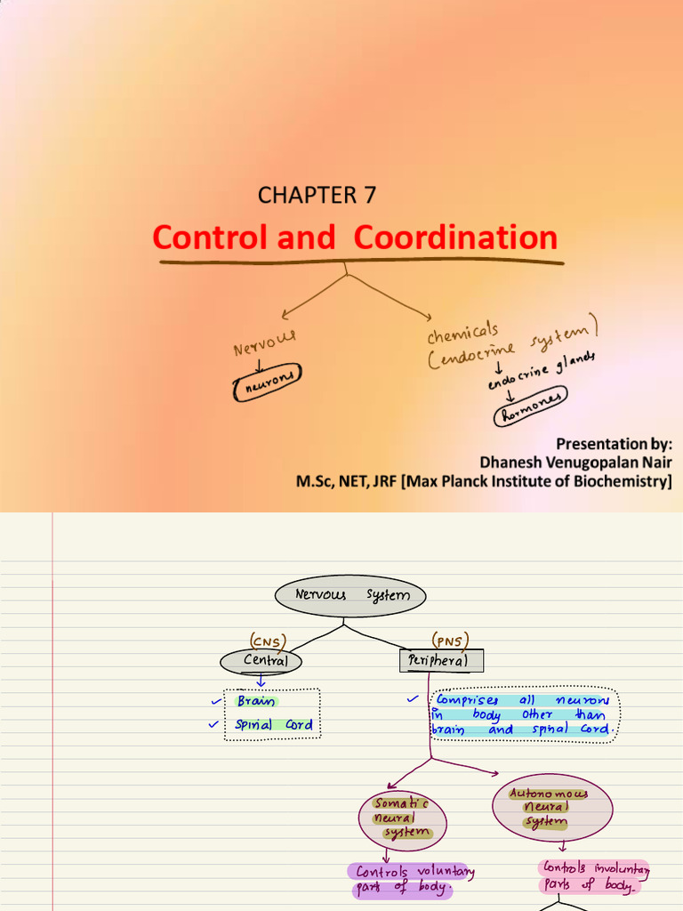 Understanding Nodes of Ranvier | PDF | Neuron | Nervous System