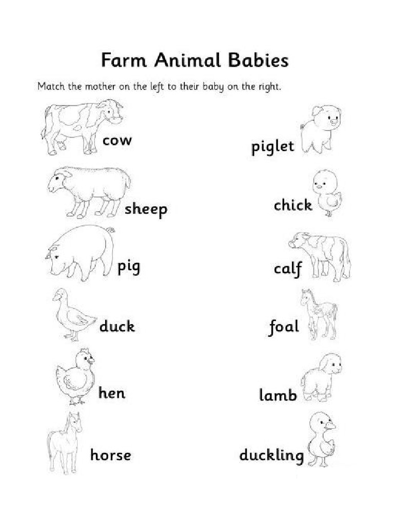 Animals and Their Babies | PDF