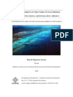 Rapid Assessment of the Uvero-Punta Piedras Section, Costa Maya, Quintana Roo, Mexico