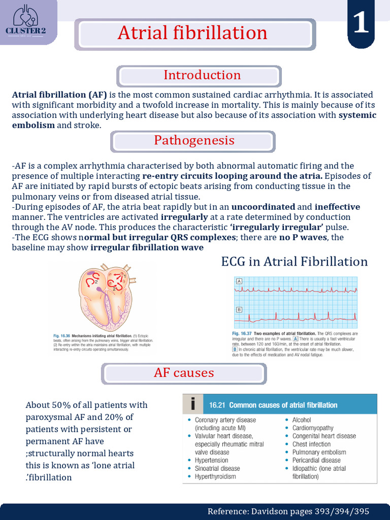 Atrial Fibrillation: Causes, Diagnosis, and Management | PDF | Heart ...