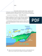 Ciclo Biogeoquimicos