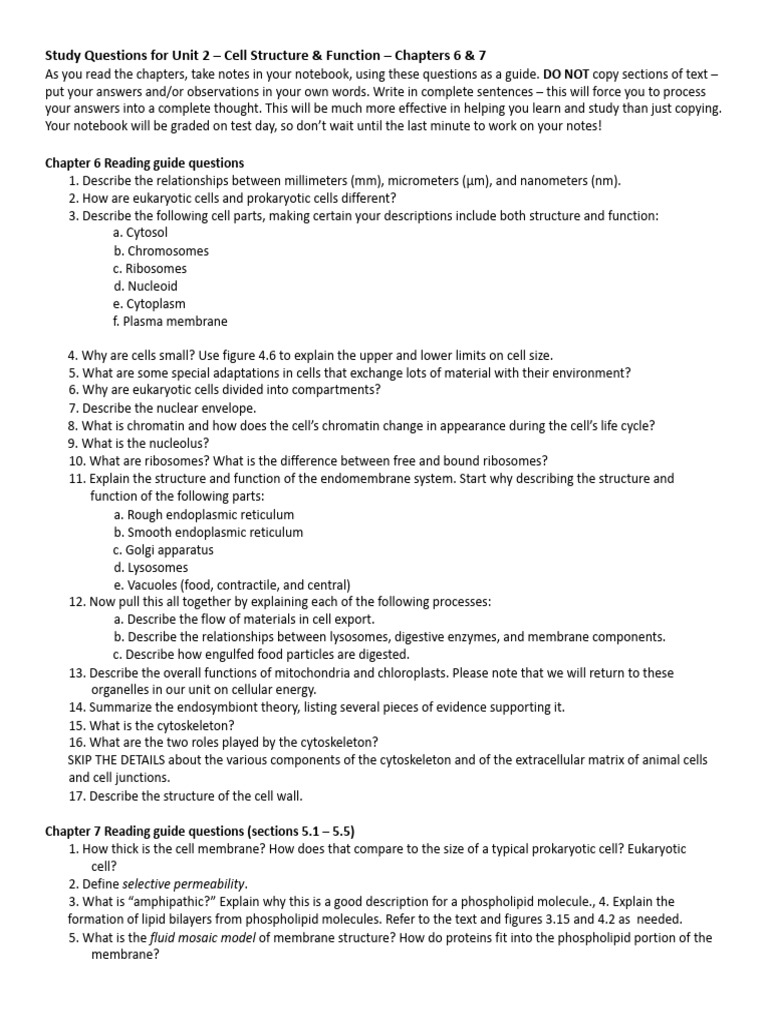 Study Guide: Cell Structure & Function | PDF | Cell Membrane | Cell ...