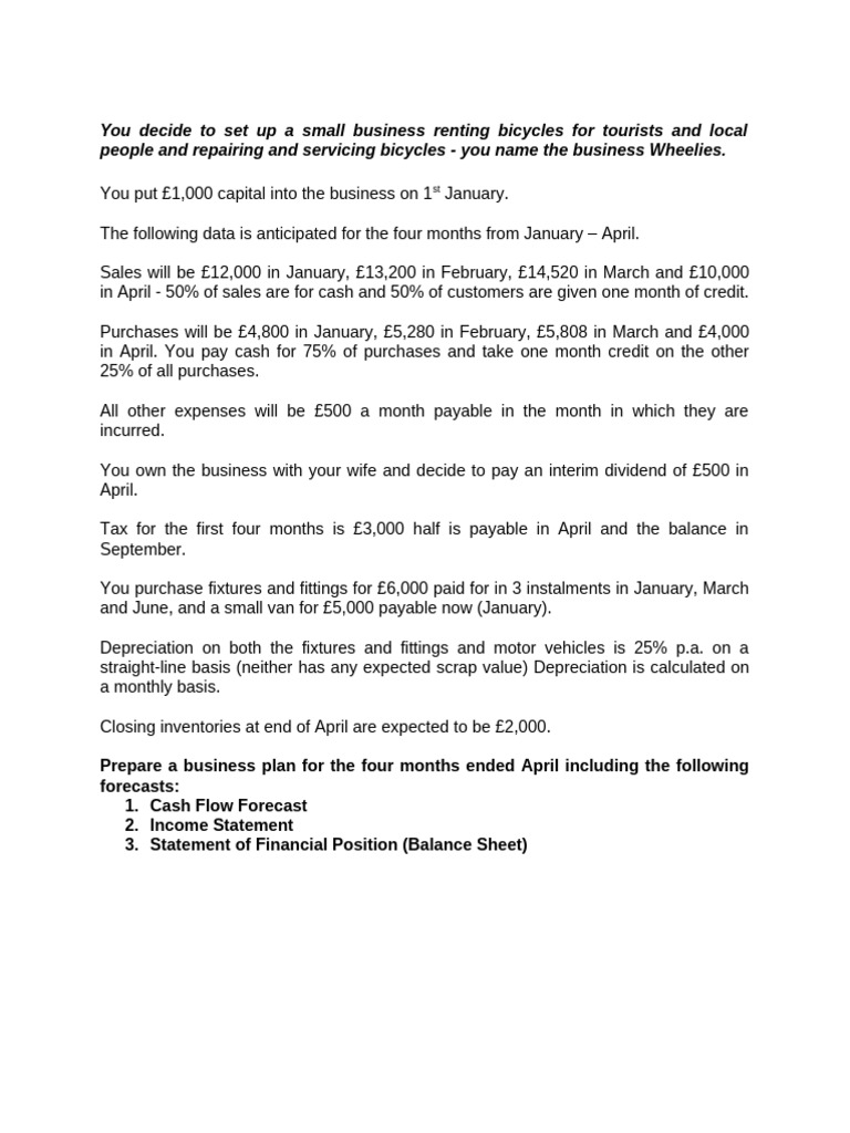 Bicycle Rental Business Financial Plan | PDF
