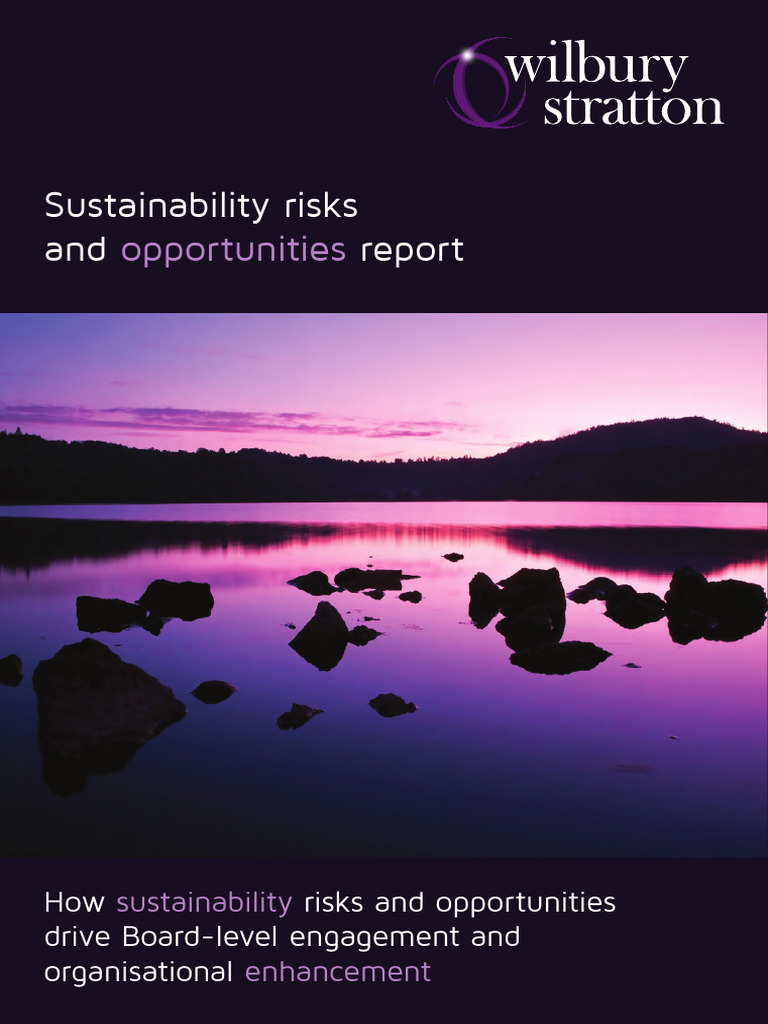 Corporate Sustainability Risks Report | PDF | Sustainability ...