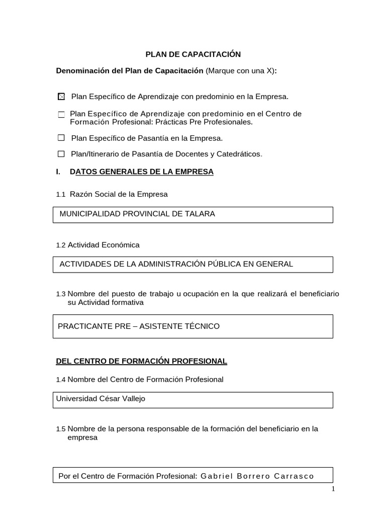 Plan de Capacitación para Practicantes Técnicos | PDF | Diseño ...