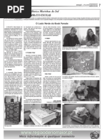 o Lado Verde Do Book Parade