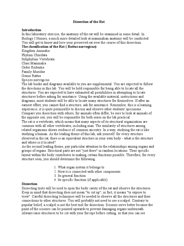 Rat Dissection Guide for Students | PDF | Aorta | Heart Valve