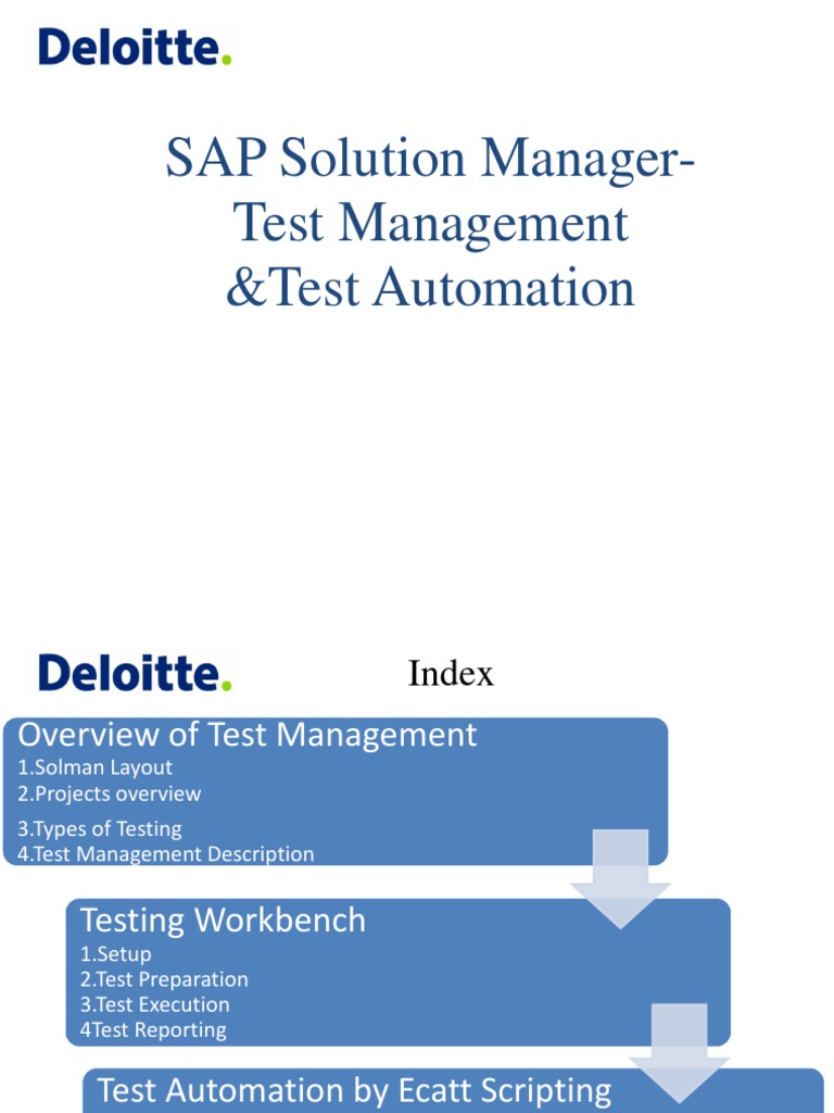 SAP Solution Manager Test Automation Guide | PDF | Scripting Language ...