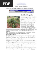 Download Buku Sehat Dengan Mengkudu by Leksi Tengtarto SN91712284 doc pdf