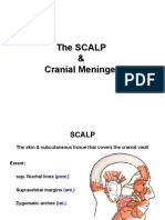 1 the SCALP Meninges E-learning