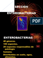 Microbiologia Enterobacterias