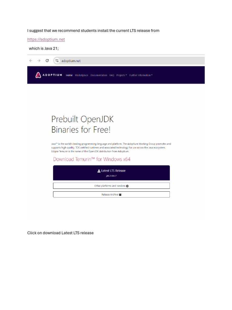 Java 21 Instructions For Setup | PDF