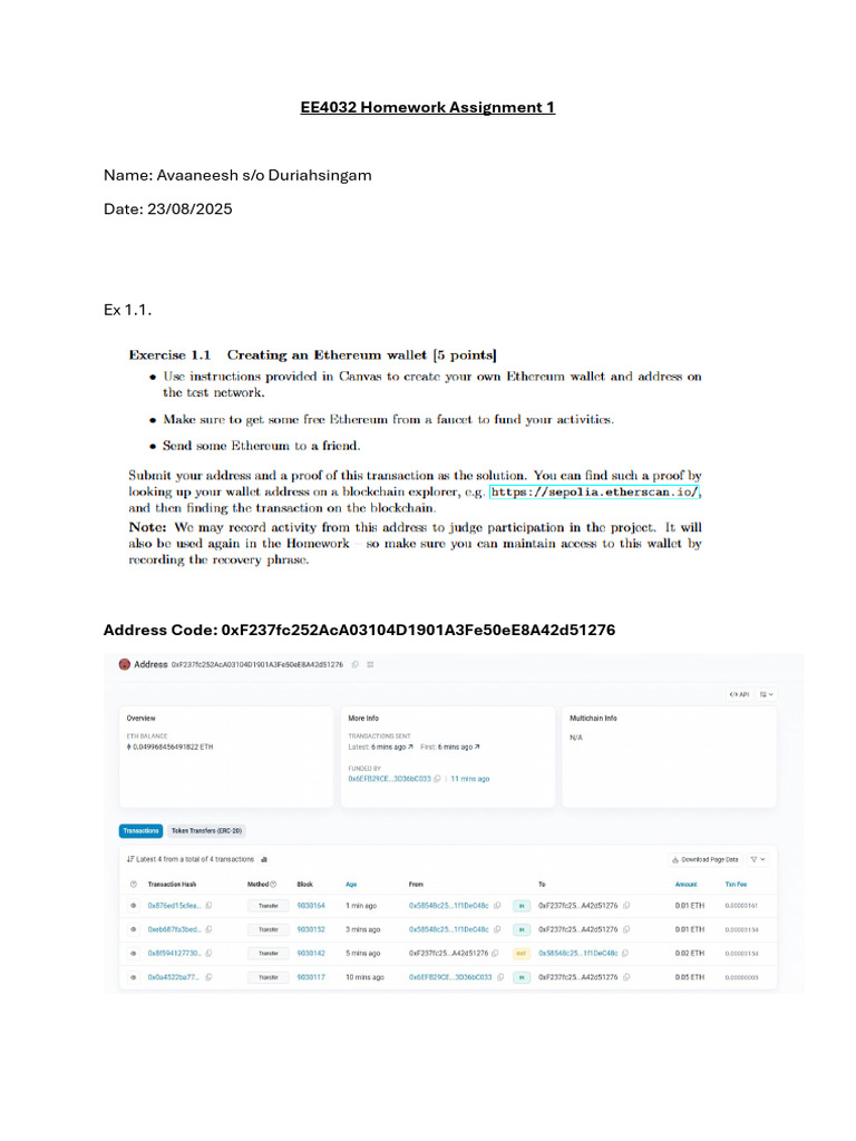 EE4032 Homework Assignment Overview | PDF