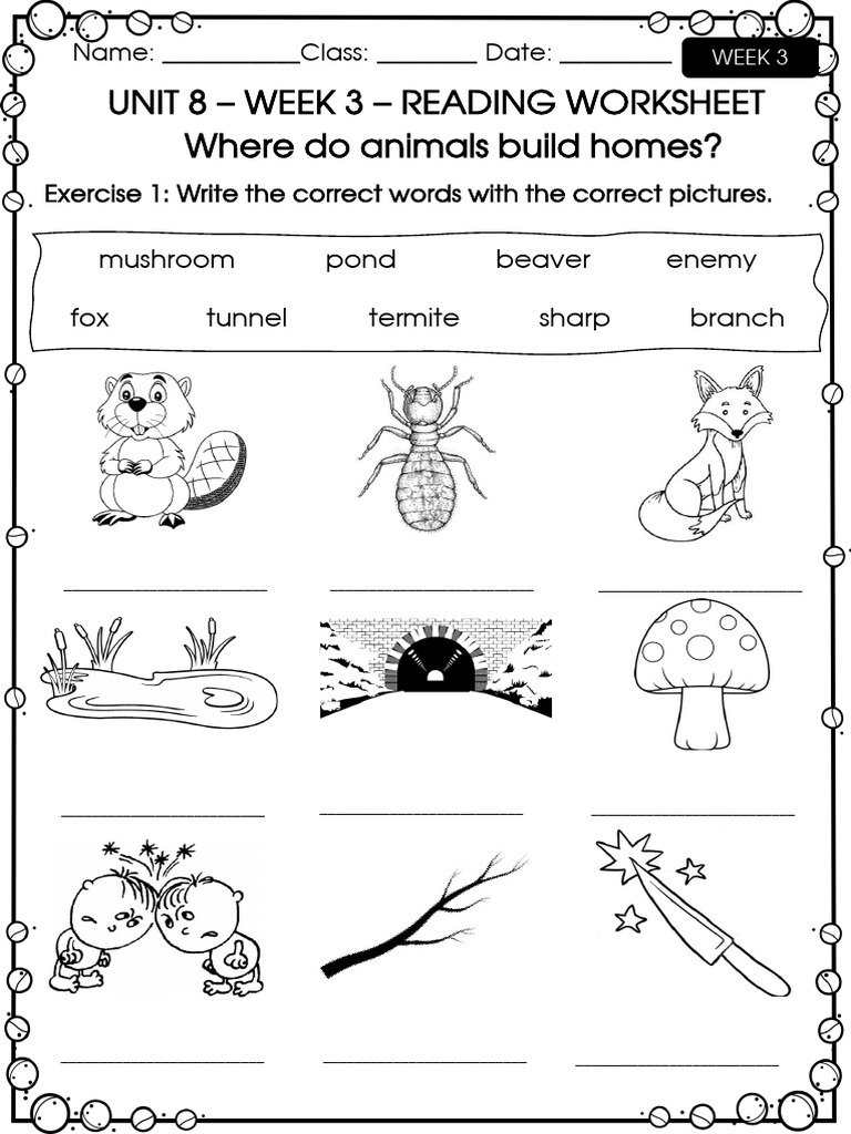 Unit 8 Week 3 Reading Worksheet Where Do Animals Build Homes? | PDF ...