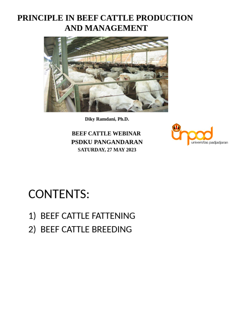 Beef Cattle Production and Management Guide | PDF | Cattle | Weaning