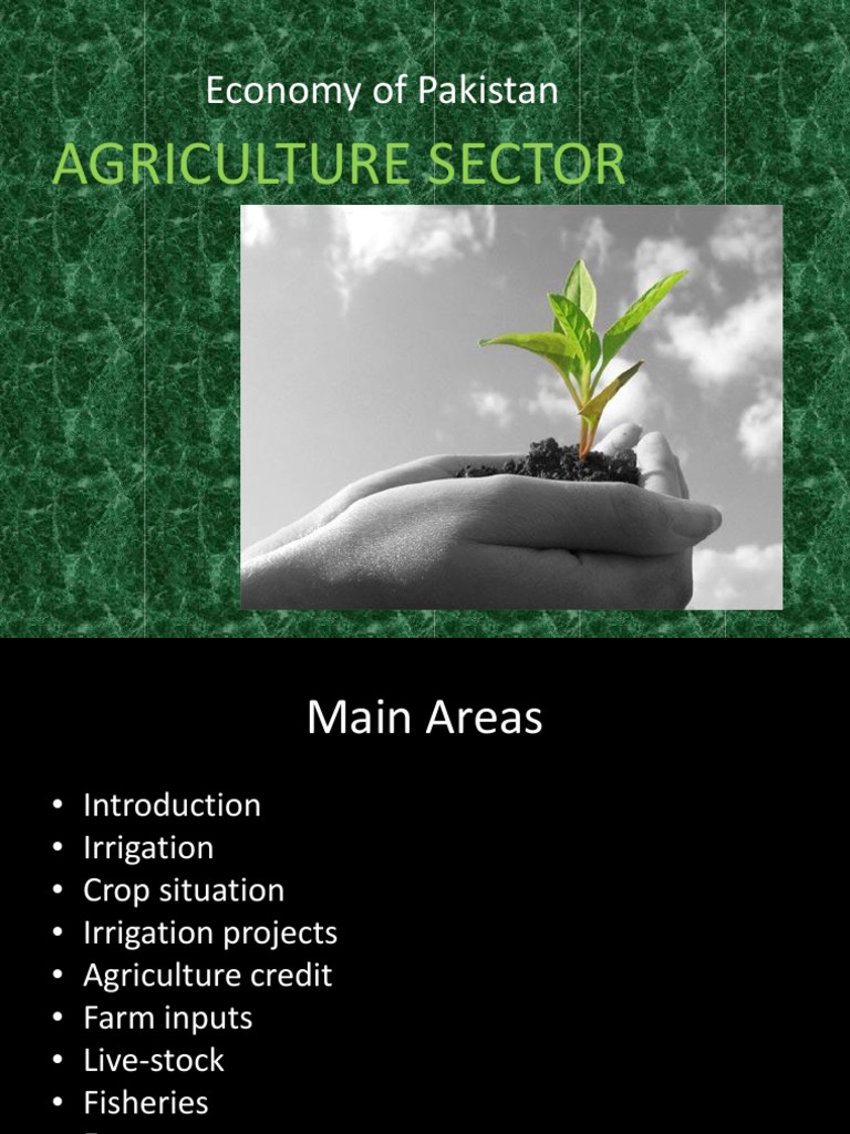 Overview of Pakistan's Agriculture Economy | PDF | Livestock | Agriculture
