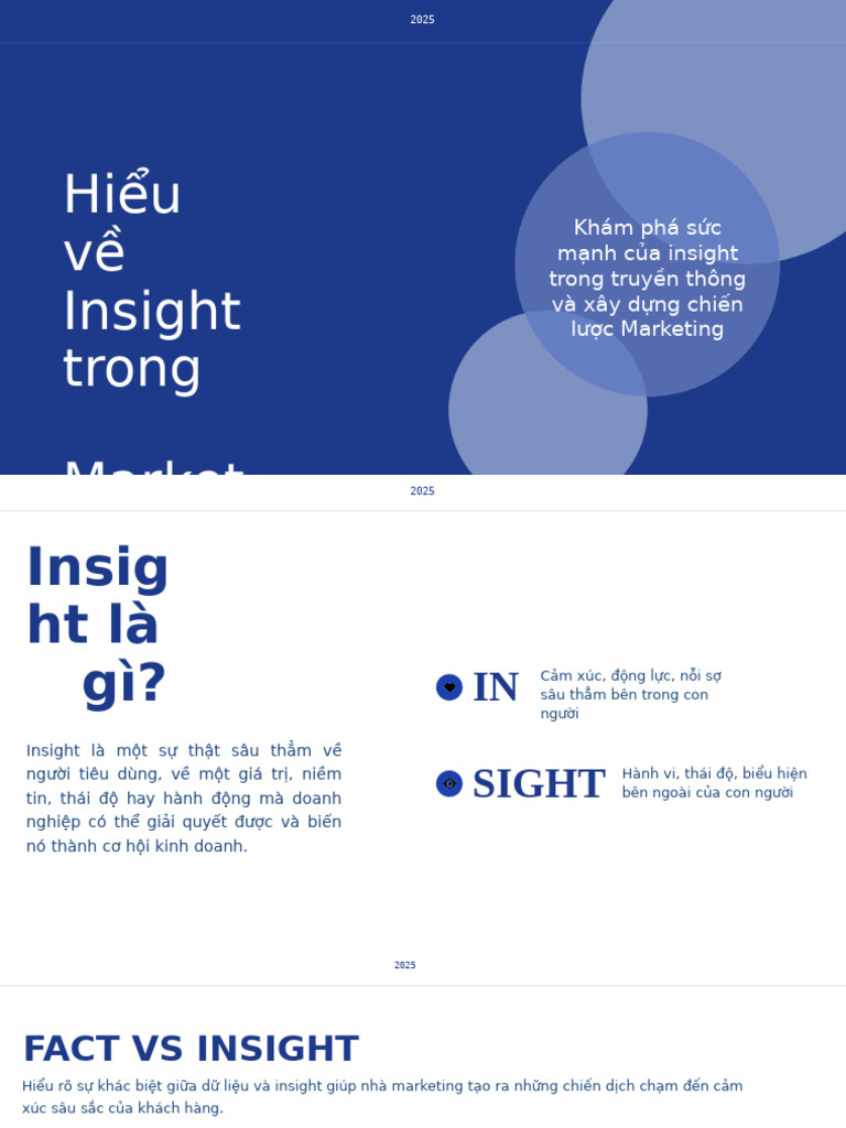 Insight | PDF