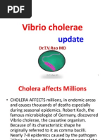 Download Vibrio cholerae an update by doctorrao SN91723247 doc pdf