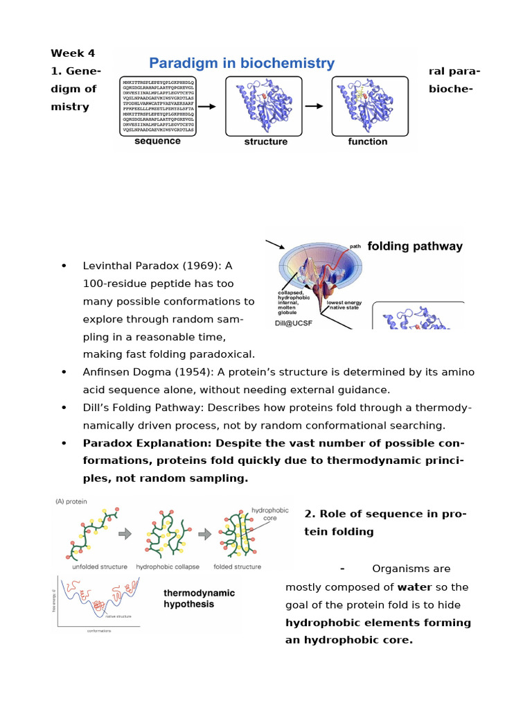 Anfinsen's Dogma and Protein Folding | PDF | Protein Folding | Proteins
