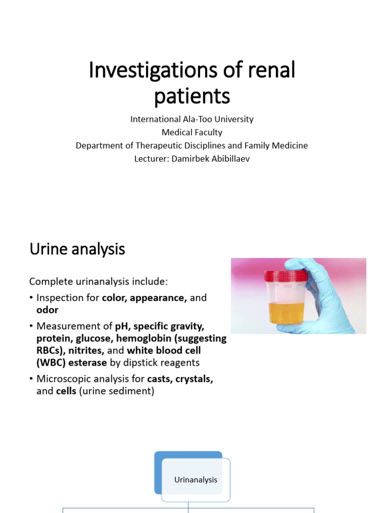 Urinalysis Insights for Renal Patients | PDF | Medical Specialties ...
