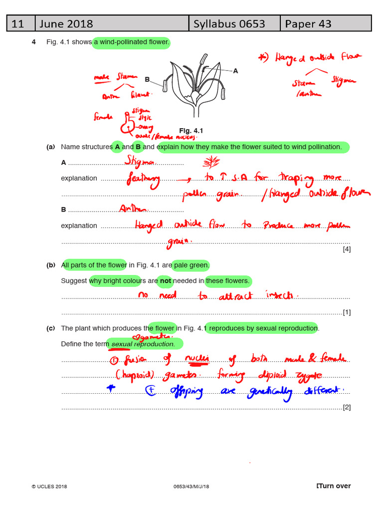 Wind Pollination in Flowering Plants | PDF | Flowers | Sexual Reproduction