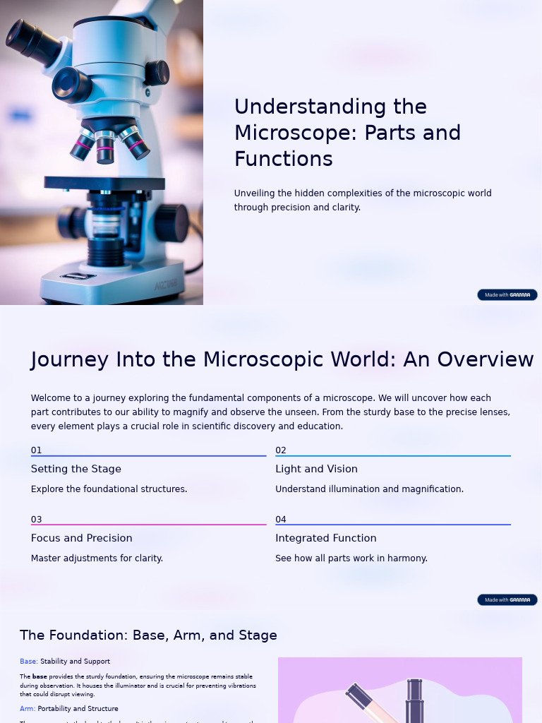 Microscope Parts and Functions Explained | PDF | Microscopy | Light
