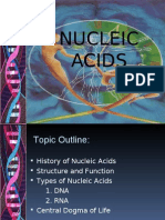 Nucleicacids Midtermeee 120426215814 Phpapp01