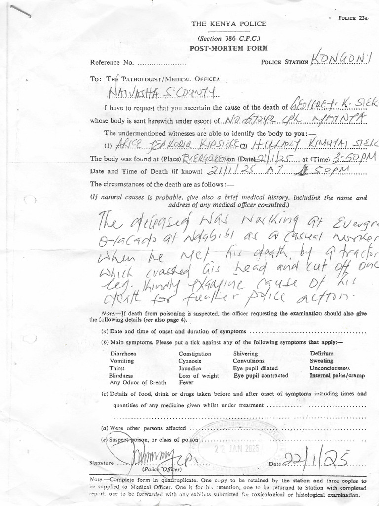 Postmortem Report | PDF